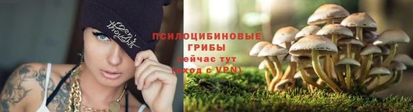 шишки Волоколамск