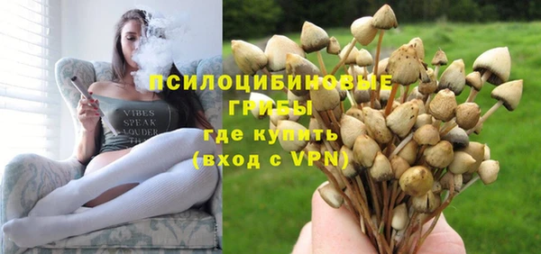 шишки Волоколамск